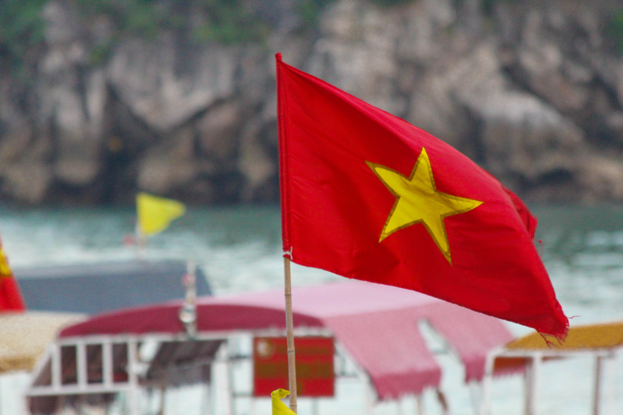 Made-In-Vietnam