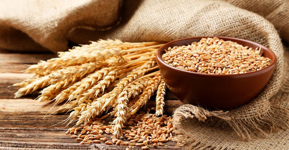 Wheat